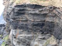 Albums/20060200-New Zealand 2006/20060313-Catlins/12